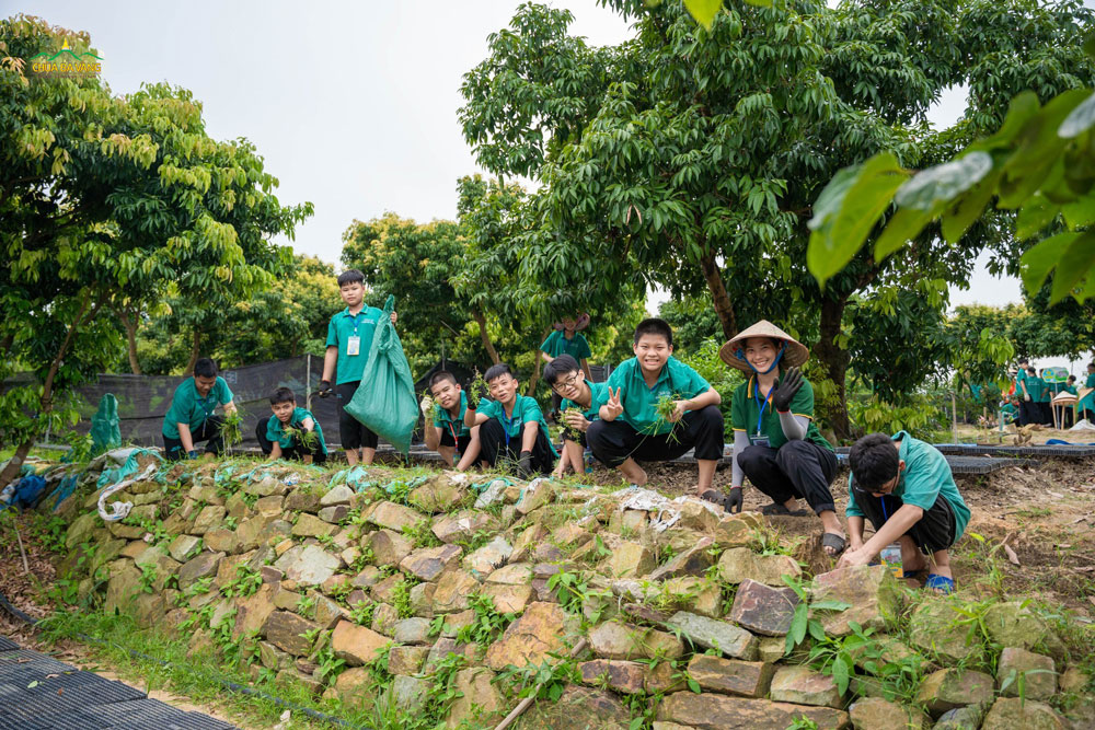 Chung tay nhặt cỏ dại cùng chúng mình nhaaa