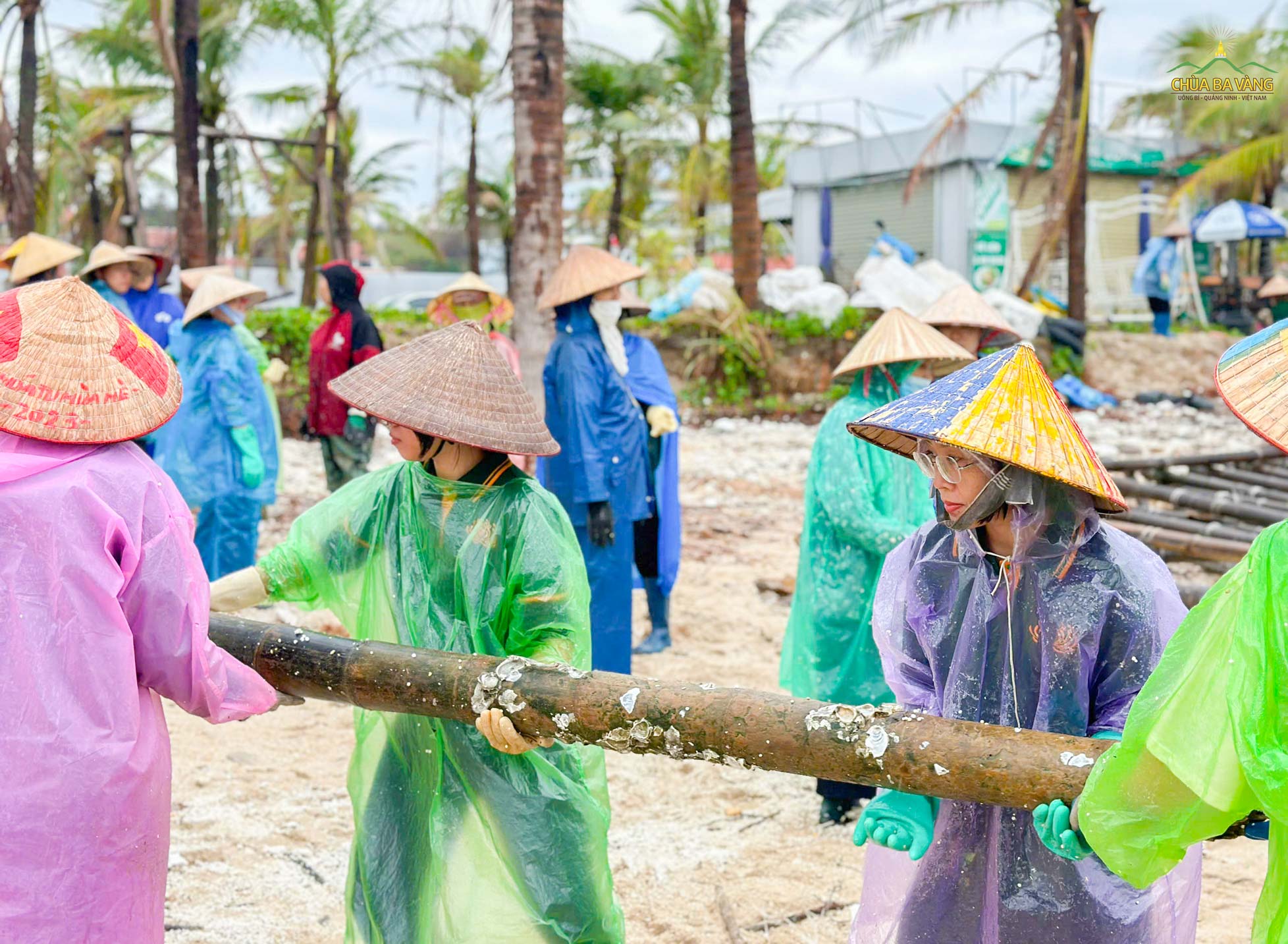 Chị Hiền (mặc áo mưa tím) cùng các Phật tử tích cực tham gia vận chuyển bè nuôi hải sản lên bờ
