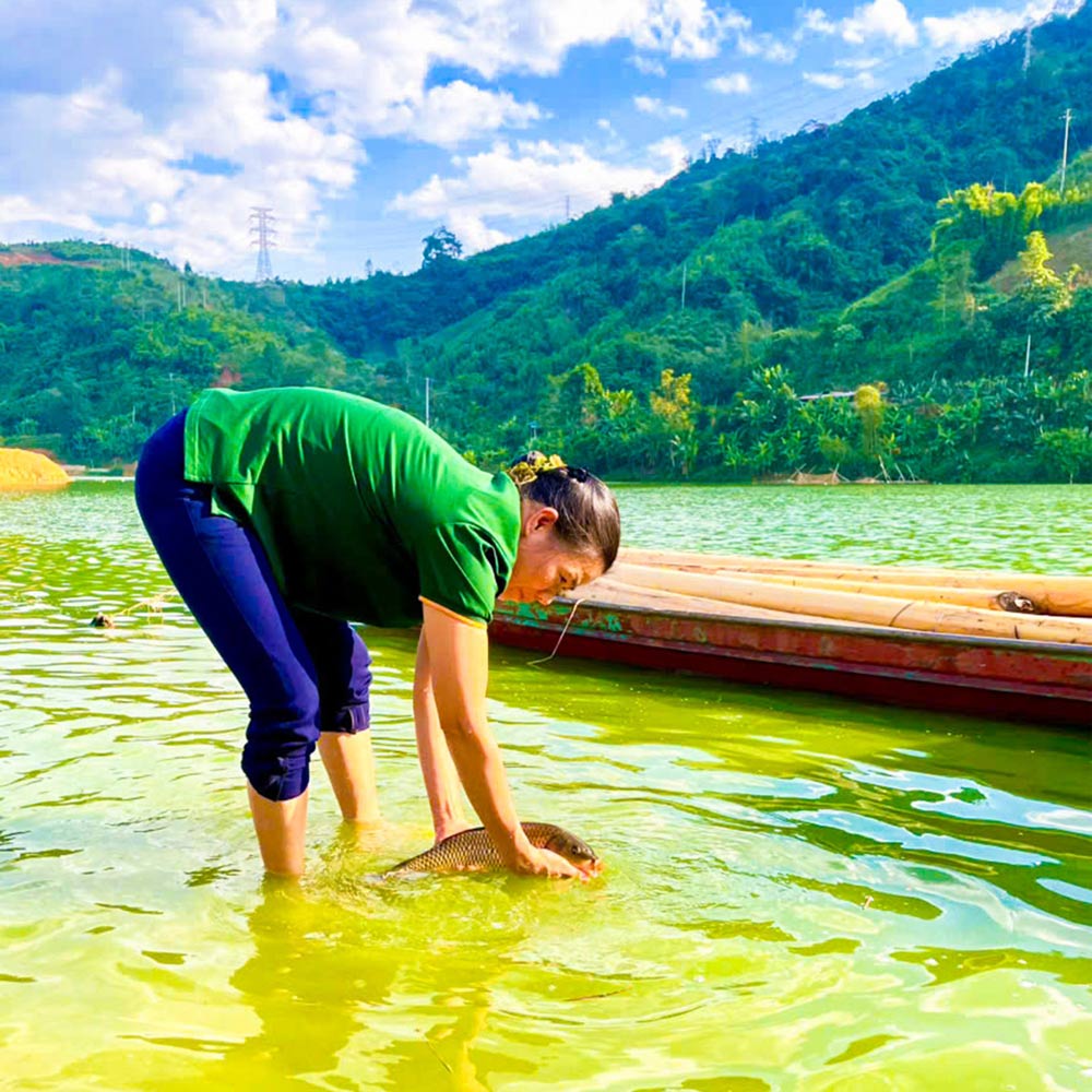 Phật tử nhẹ nhàng thả chú cá về với làn nước xanh mát