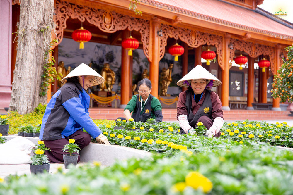 Phật tử Đặng Thị Hòa (ngoài cùng bên phải) cùng các đạo hữu chăm hoa để tô điểm thêm sắc xuân Ba Vàng