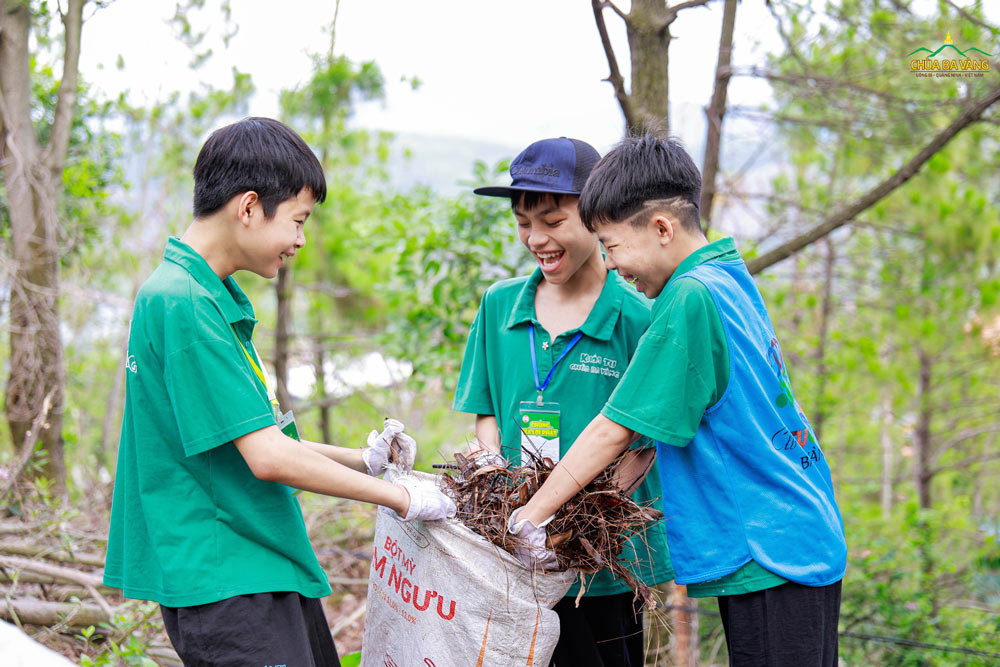 Các bạn cùng nhau dọn dẹp lá thông khô