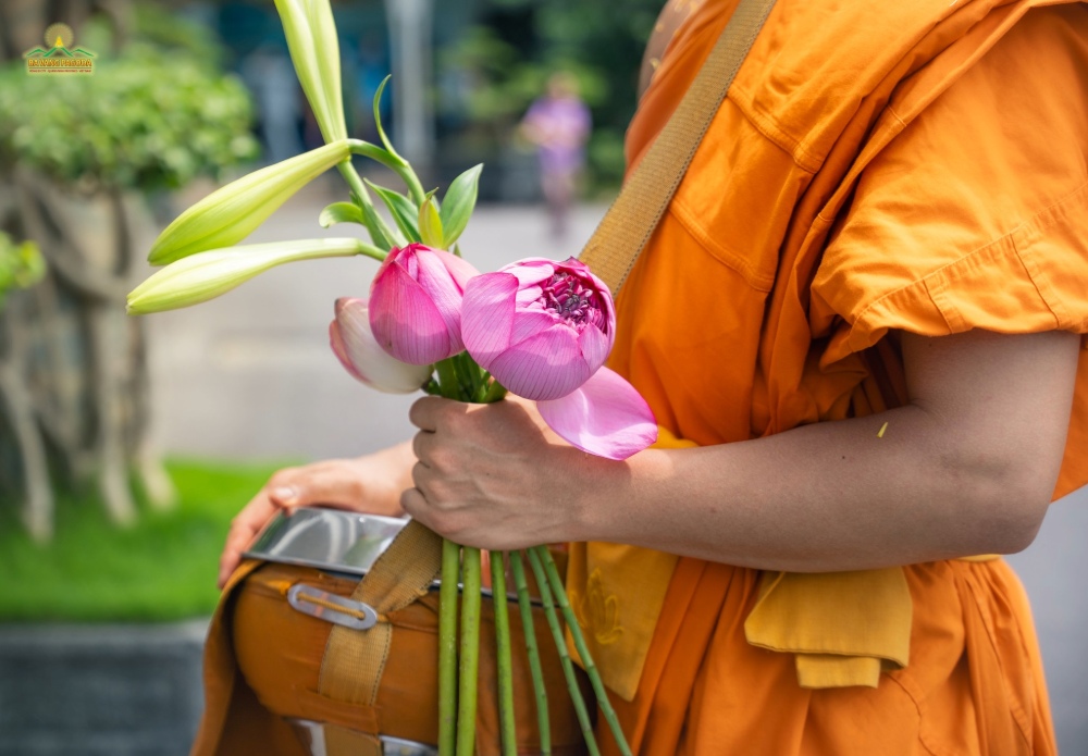 Người thọ nhận vật thực phải là người tu hành phạm hạnh