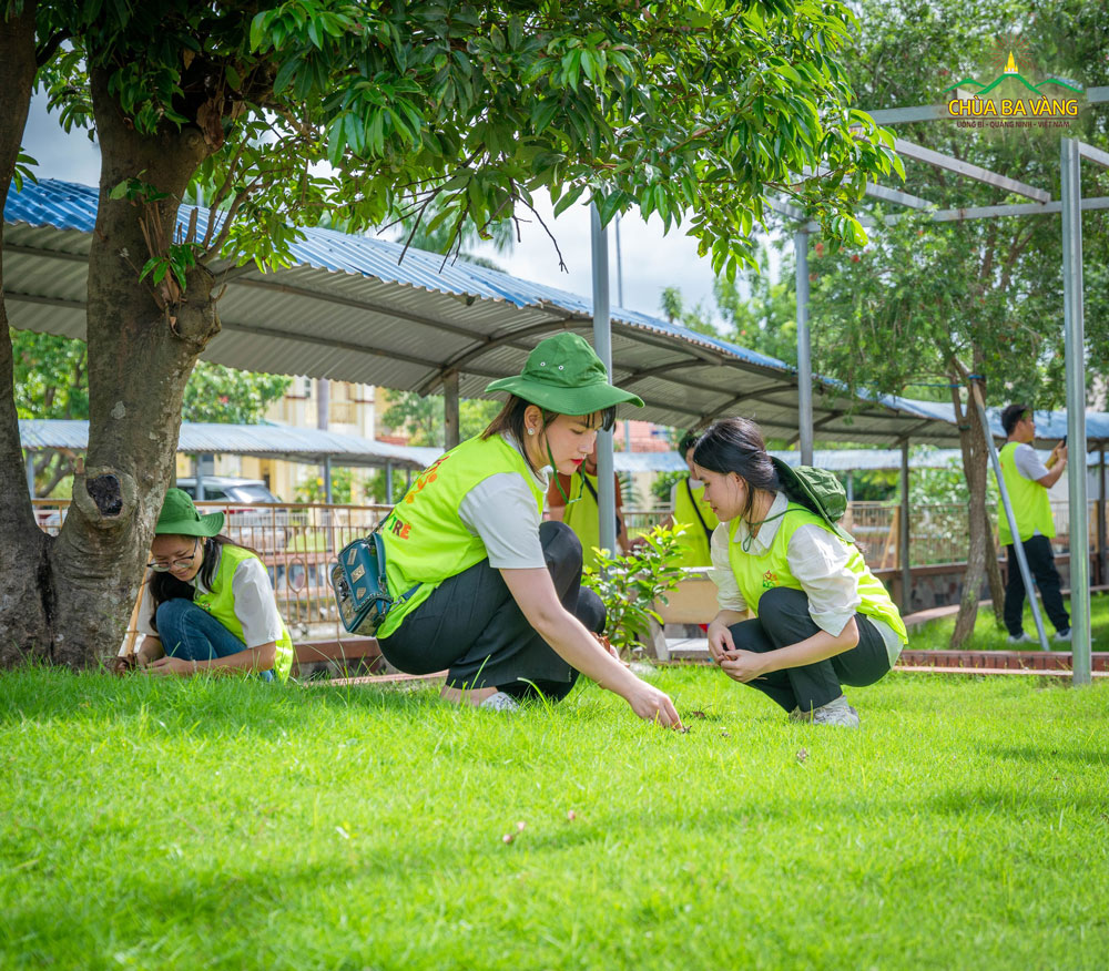 Nhân dịp này, các bạn cùng hỗ trợ trung tâm dọn dẹp khuôn viên sạch sẽ