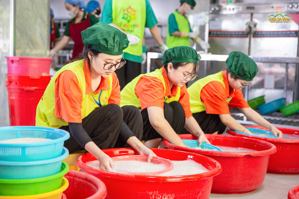 Trong lúc các bạn trẻ khác cùng nhau làm vườn, dọn cỏ, dọn hoa, tại khu vực bếp, một nhóm bạn trẻ cùng nhau nấu cơm, hỗ trợ các cô bác Phật tử chuẩn bị món ăn cho bữa trưa.