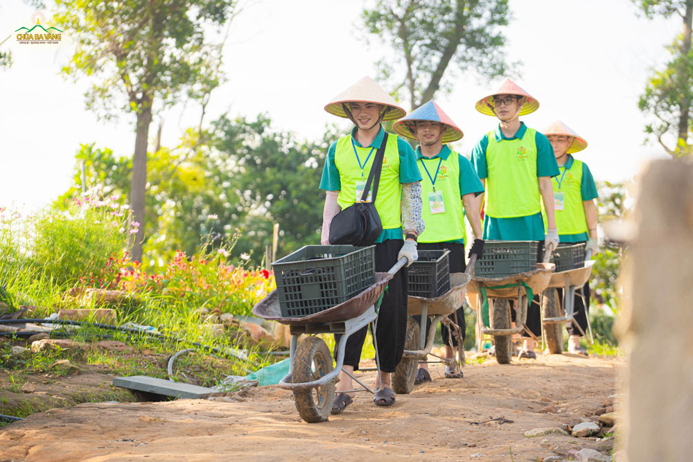 Ai đẩy xe rùa với chúng mình không?