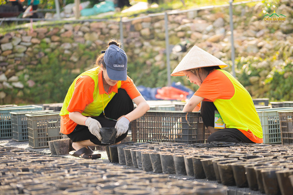 Bạn trẻ cẩn thận đặt từng bầu đất vào sọt - một hoạt động rèn luyện sự tỉ mỉ rất cao