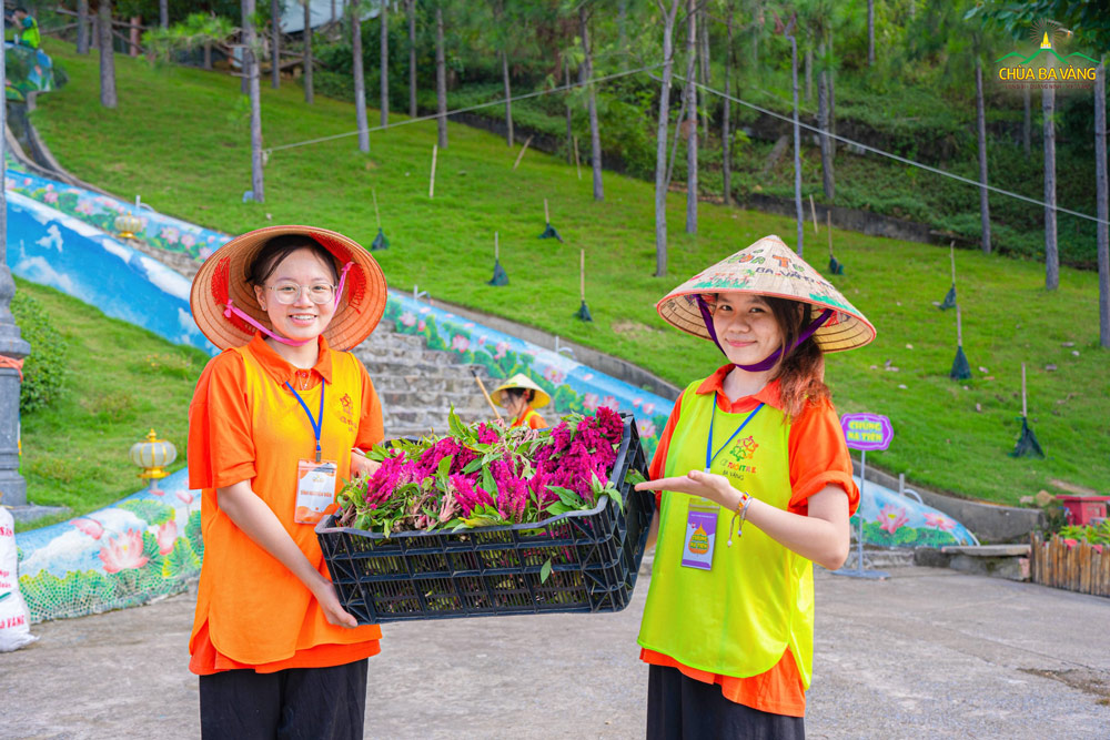 Bê sọt hoa này nặng lắm, nhưng chúng ta làm cùng nhau thì lại chẳng nặng xíu nào!