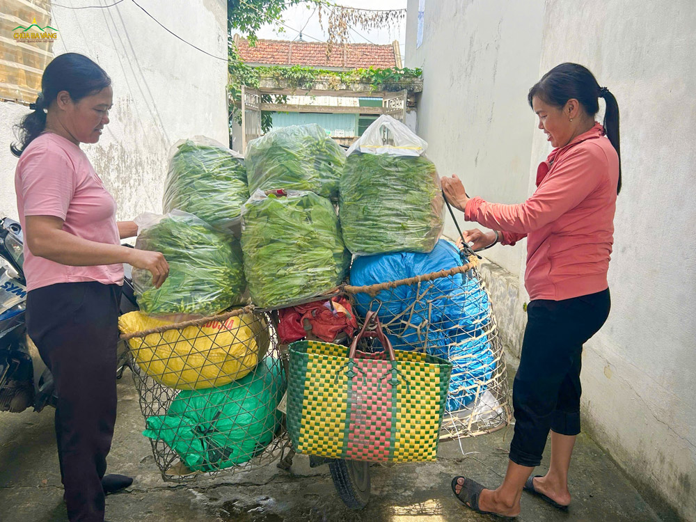 Những túi rau xanh tại vườn nhà được gói ghém trong túi cẩn thận, sẵn sàng cho một chuyến đi xa