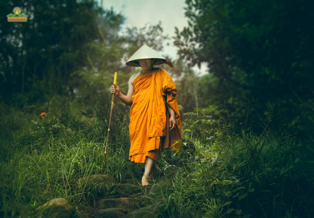 Thực hành Tứ chánh cần giúp được giác ngộ, thành tựu quả vị Thánh  