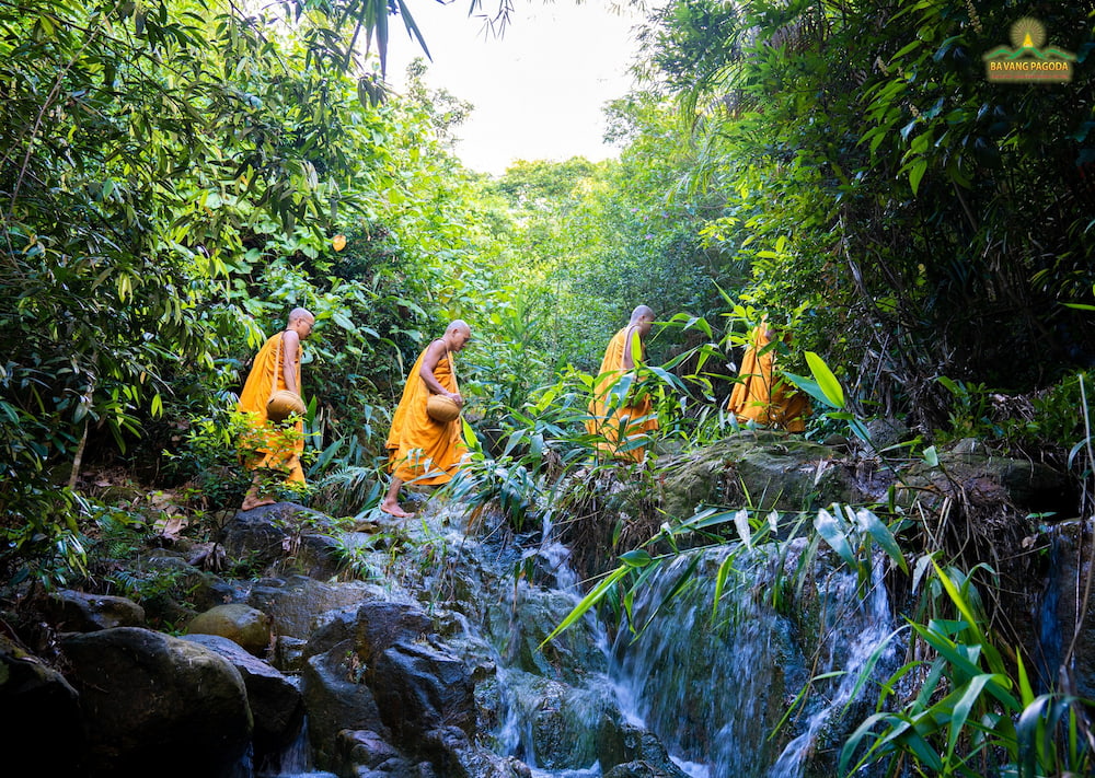 Dục như ý túc nghĩa là mong muốn, khao khát được thành tựu Phật quả  