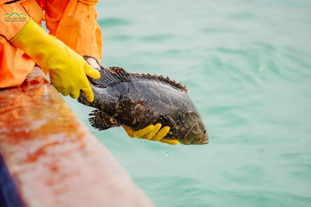 Làm việc thiện thì sẽ được phúc lành, hóa giải những điều “xui xẻo” trong năm mới