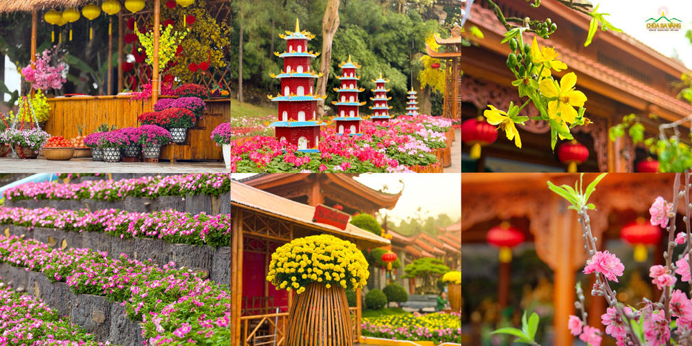 Những cánh hoa khoe sắc dưới làn mưa xuân, mang đến vẻ đẹp thanh khiết đầy sức sống