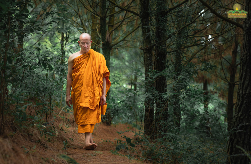 Tâm an định sẽ giúp trí tuệ sáng suốt