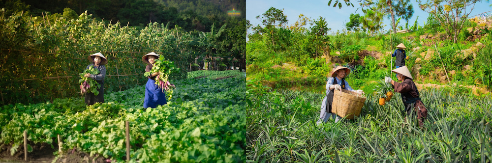 Đồng sự nhiếp chính là làm việc cùng để nhiếp hóa nhau (ảnh minh họa)