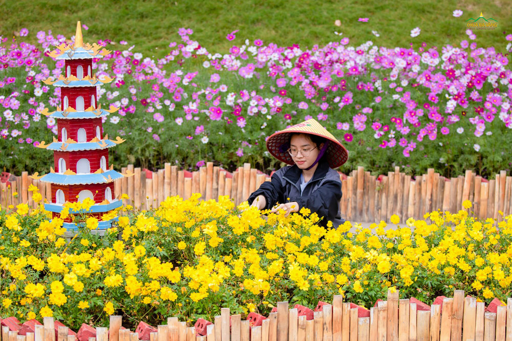 Giữa sắc hoa rực rỡ và không gian thanh tịnh, từng bàn tay lặng lẽ chăm sóc. Nhìn khung cảnh này, bạn có muốn về chùa, cùng chúng mình lao tác và tìm lại sự bình yên cho mình không?