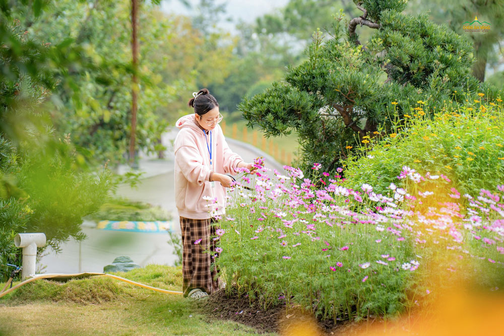 Bạn trẻ lặng lẽ cắt tỉa, chăm sóc khóm hoa nhỏ trong khuôn viên chùa