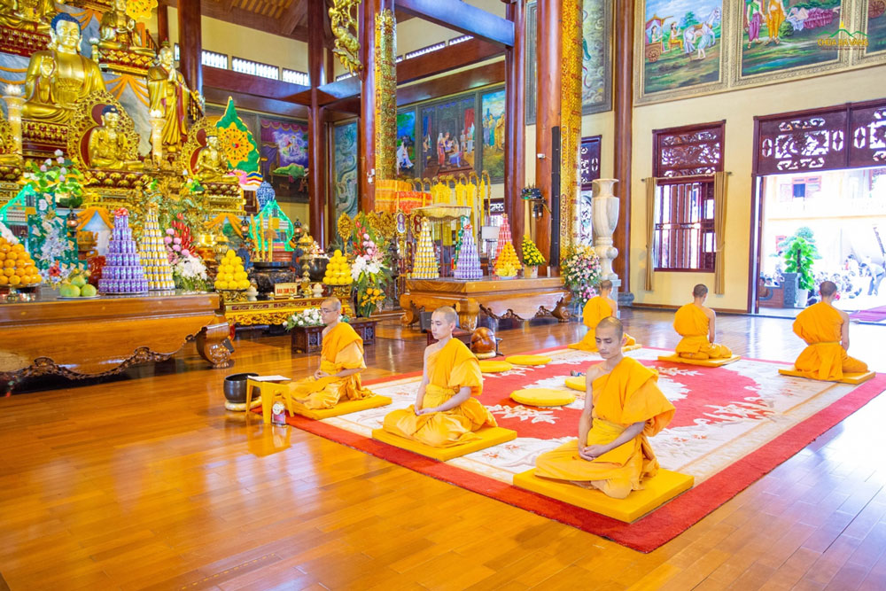 Thiền có thể giúp cải thiện tâm trạng, phát sinh trí tuệ (ảnh minh họa)