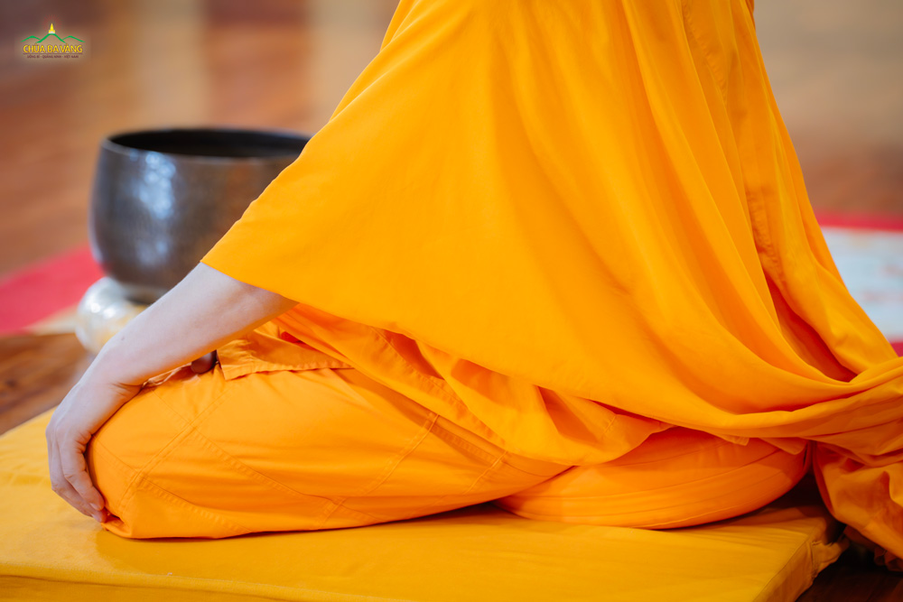 Khi ngồi, phần mông chỉ chiếm khoảng ⅔ tọa cụ