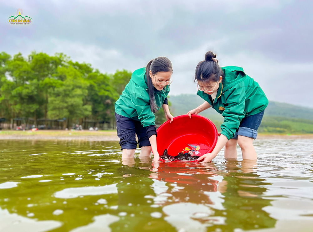 Cần làm tăng trưởng lòng từ bi, thực hành năm giới của người Phật tử