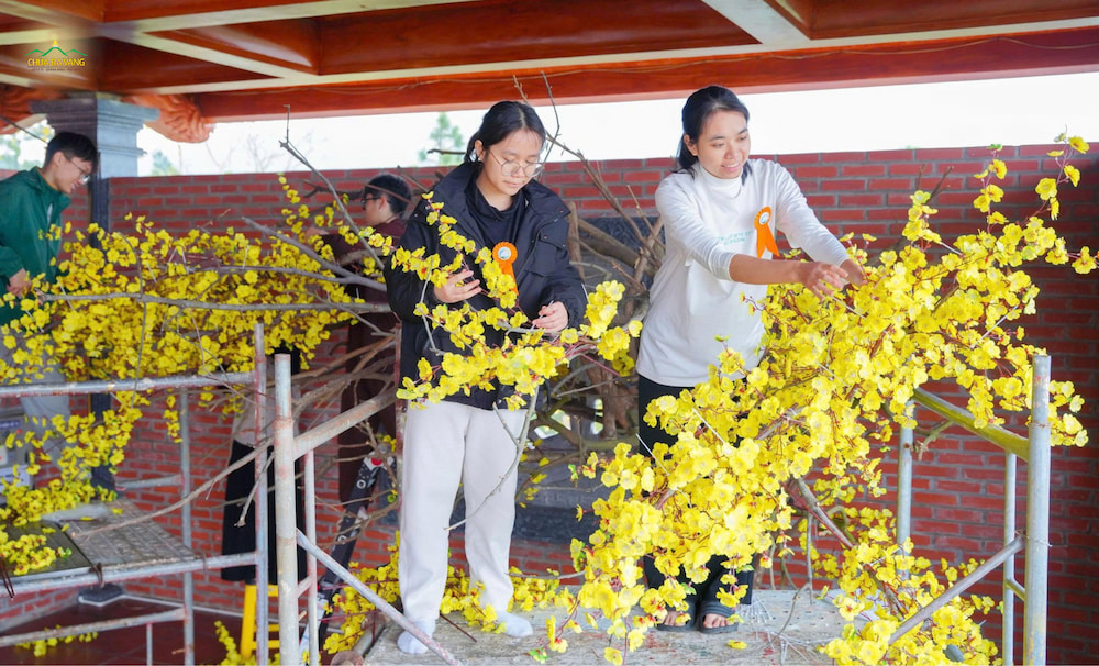 Tet-chua-ba-vang (1)