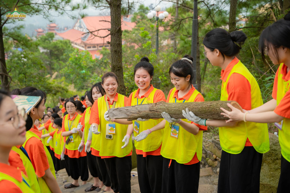 Cây gỗ này to lắm, nhưng chúng ta làm cùng nhau thì lại chẳng nặng xíu nào!