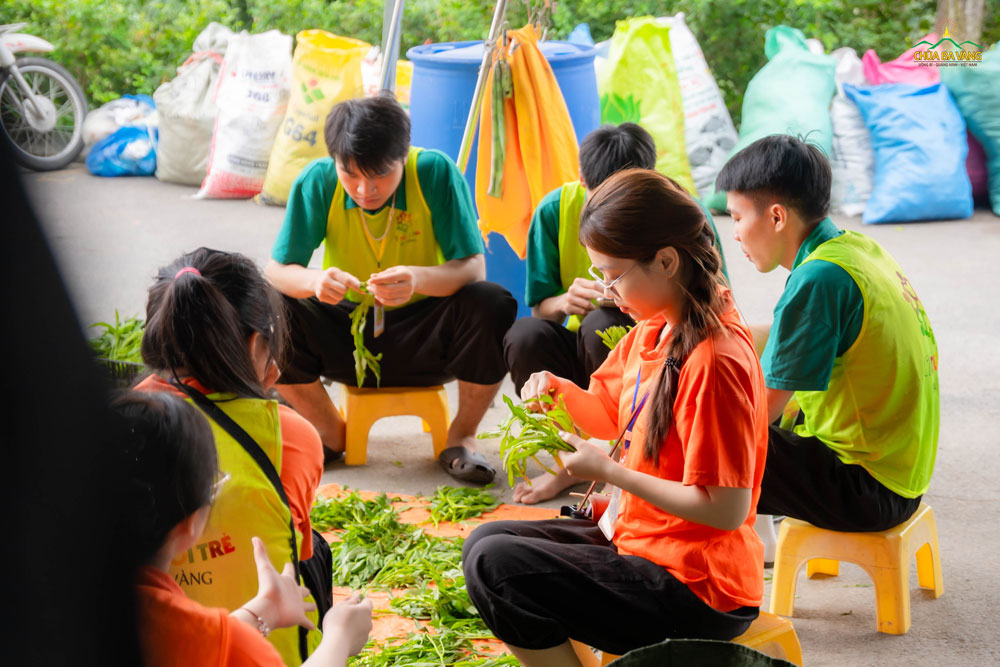 Trong lúc các bạn trẻ khác cùng nhau làm vườn, dọn cỏ, quét sân; tại khu vực bếp, một nhóm bạn trẻ cùng nhau nhặt rau, hỗ trợ các cô bác Phật tử chuẩn bị món ăn cho bữa trưa