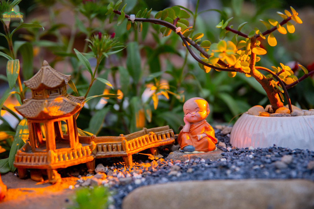   Trong không gian tĩnh lặng chốn thiền môn, có những nhành sen đá nhỏ xinh âm thầm xanh tươi, âm thầm rạng rỡ  