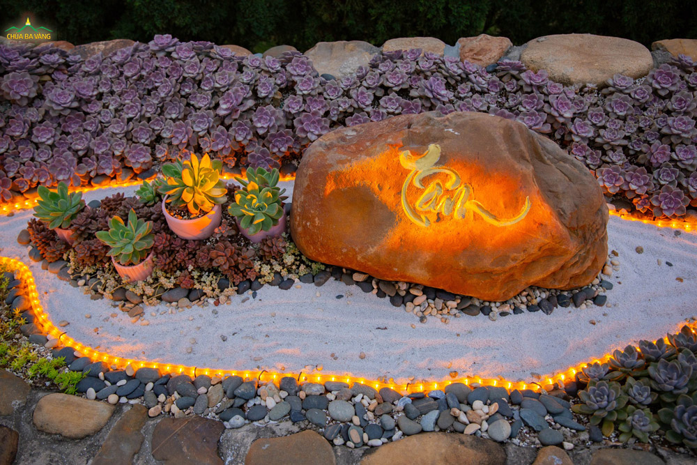   Sen đá - Loài cây mạnh mẽ, cứng cỏi, kiên cường và tràn đầy sức sống  