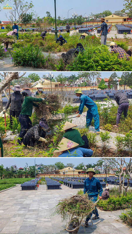 Phát quang cây dại, dọn cỏ, chở rác ra ngoài... Dưới cái nắng nóng, ai nấy đều miệt mài làm việc để nơi các anh yên nghỉ thêm phần sạch đẹp, tươm tất