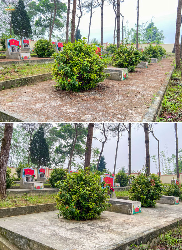Từng hàng mộ liệt sĩ gắn cờ đỏ sao vàng nằm dưới tán thông già, sau buổi dọn dẹp trở nên gọn gàng, trang nghiêm hơn
