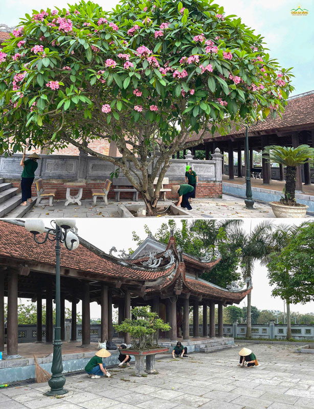 Dọn dẹp sân đền thờ liệt sĩ, nhổ cỏ dưới tán cây đang nở hoa — công việc giản dị giữa khung cảnh bình yên