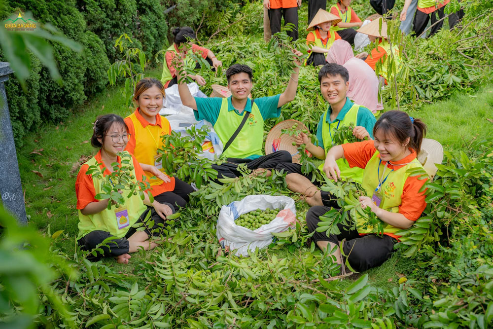 Những khoảnh khắc vui tươi khi các bạn được trải nghiệm hái sấu trong khuôn viên chùa