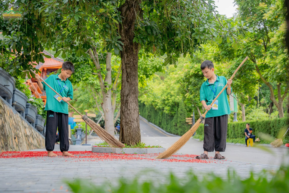 Chăm chỉ quét dọn sân chùa, cùng gieo trồng phước báu các bạn nhé!