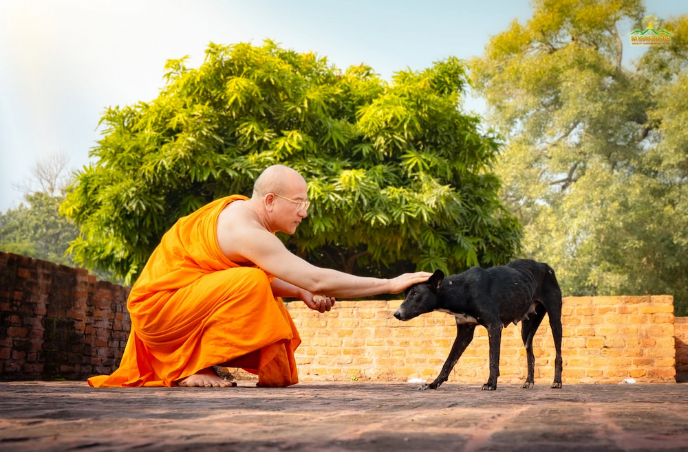 Tâm nguyện khi xuất gia sẽ có đầy đủ tâm từ bi đối với tất cả chúng sinh