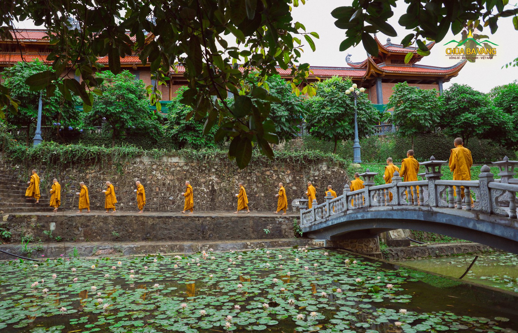   Chư Tăng chùa Ba Vàng khất thực trong khuôn viên bổn tự.  