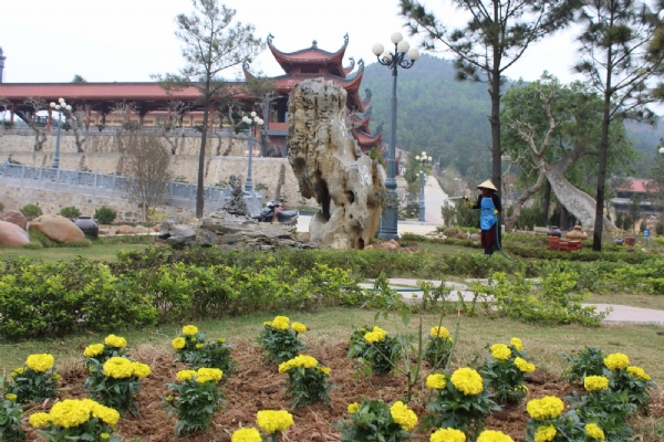 Hoa cúc - màu hoa truyền thống của chùa Ba Vàng gắn liền với Tết trùng cửu được tổ chức vào ngày mùng 9 tháng 9 âm lịch.