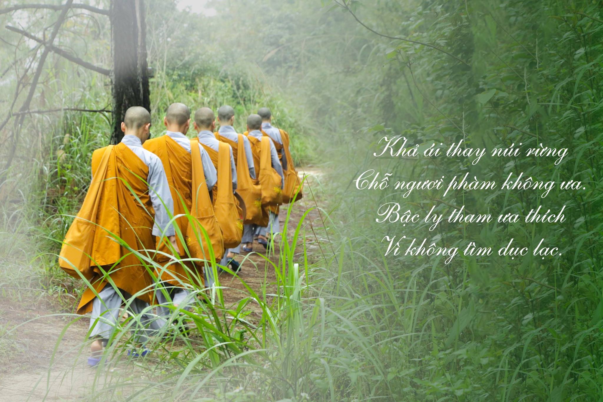 Trong rừng, Ni chúng tu hành hạnh thiểu dục tri túc, sống độc cư và hạnh nhẫn nhục trước những nghịch cảnh bên ngoài, tiến đến thực hành miên mật các pháp giải thoát của chư Phật