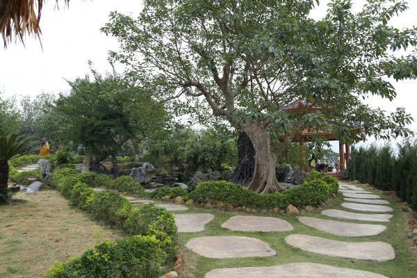 Vườn Bồ Đề chùa Ba Vàng.
