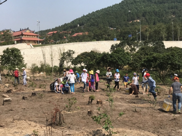 Các bạn học sinh trường THCS tp Uông Bí tham gia thời khóa lao tác tại vườn ươm chùa Ba Vàng.