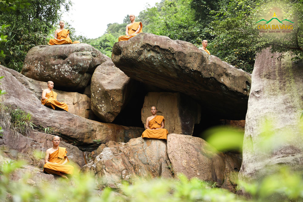 Chư Tăng chùa Ba Vàng tu tập thiền định trong rừng