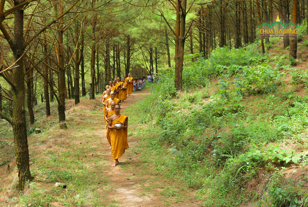 Chư Tăng chùa Ba Vàng khất thực trong rừng thiền bên Tăng