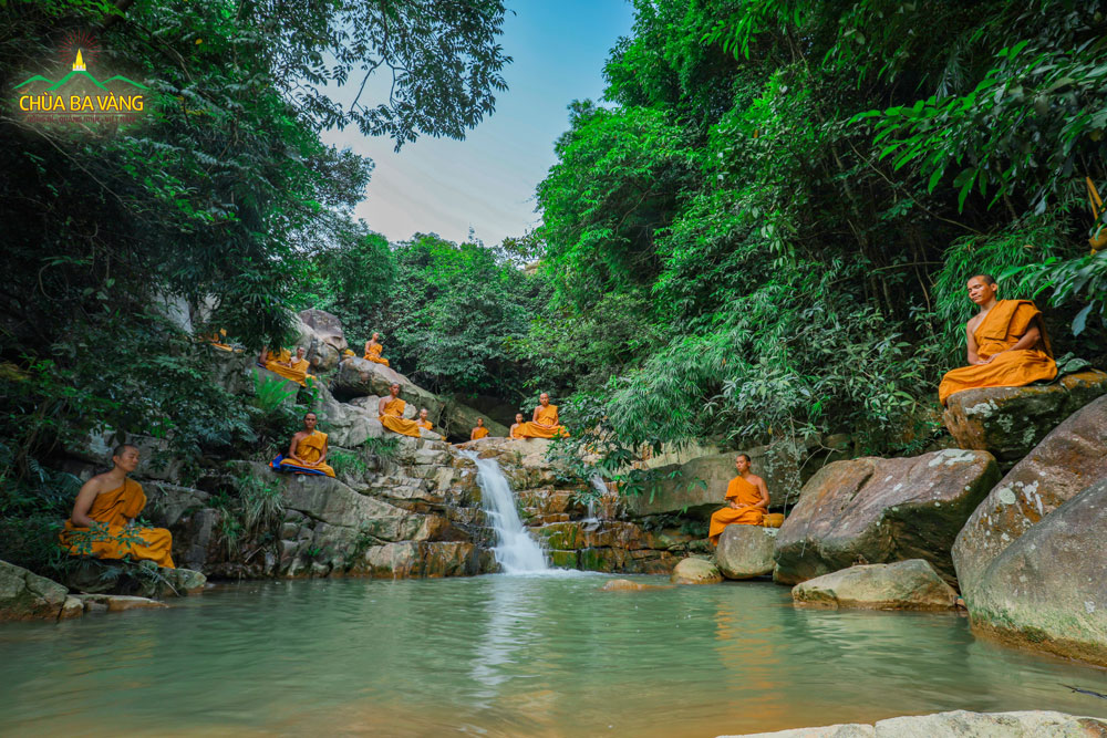 Chư Tăng chùa Ba Vàng thực hành tu tập trong rừng 