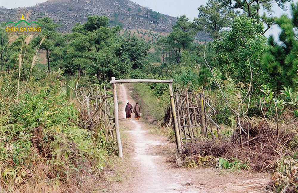 Con đường đi lên chùa Ba Vàng khi Sư Phụ Thích Trúc Thái Minh về chùa năm 2007 