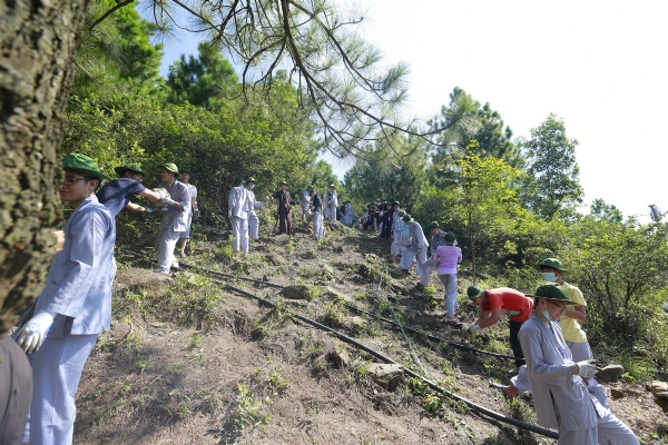Khóa sinh Khóa Tu Mùa Hè chùa Ba Vàng vận chuyện đá làm đường lên núi.