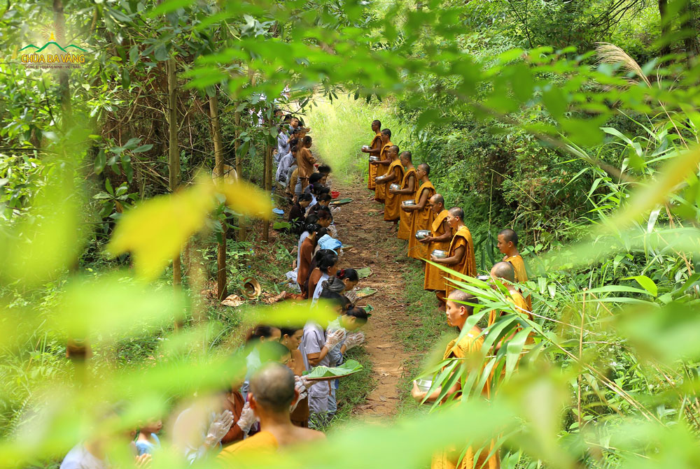 Phật tử chắp tay thành kính trong buổi sớt bát cúng dường chư Tăng tu tập trong rừng