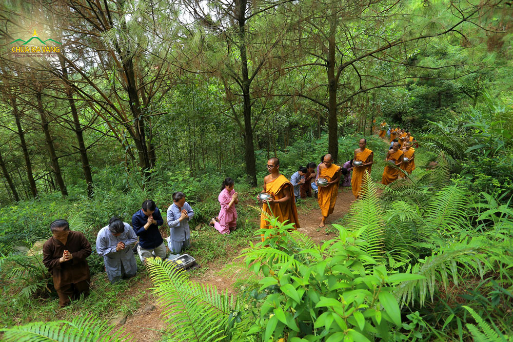 Phật tử chùa Ba Vàng sớt bát cúng dường chư Tăng trong rừng