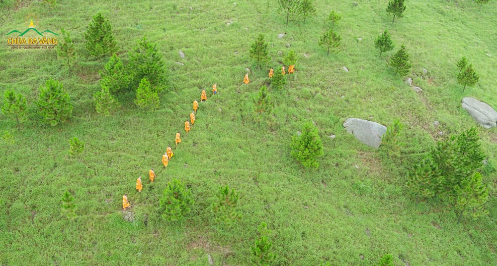 Chư Tăng chùa Ba Vàng thực tập tu tập sống trong rừng