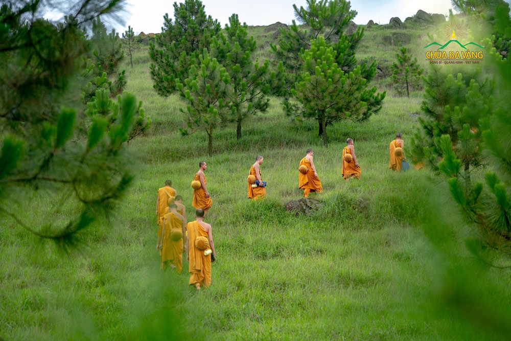 Chư Tăng chùa Ba Vàng thực tập tu tập sống trong rừng, viễn ly với các dục lạc