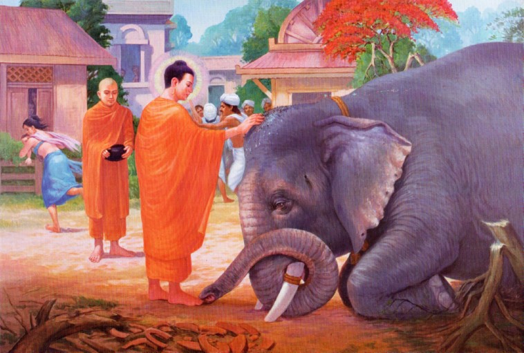 Đạo Phật là đạo giác ngộ - là đạo từ bi cứu khổ chúng sinh