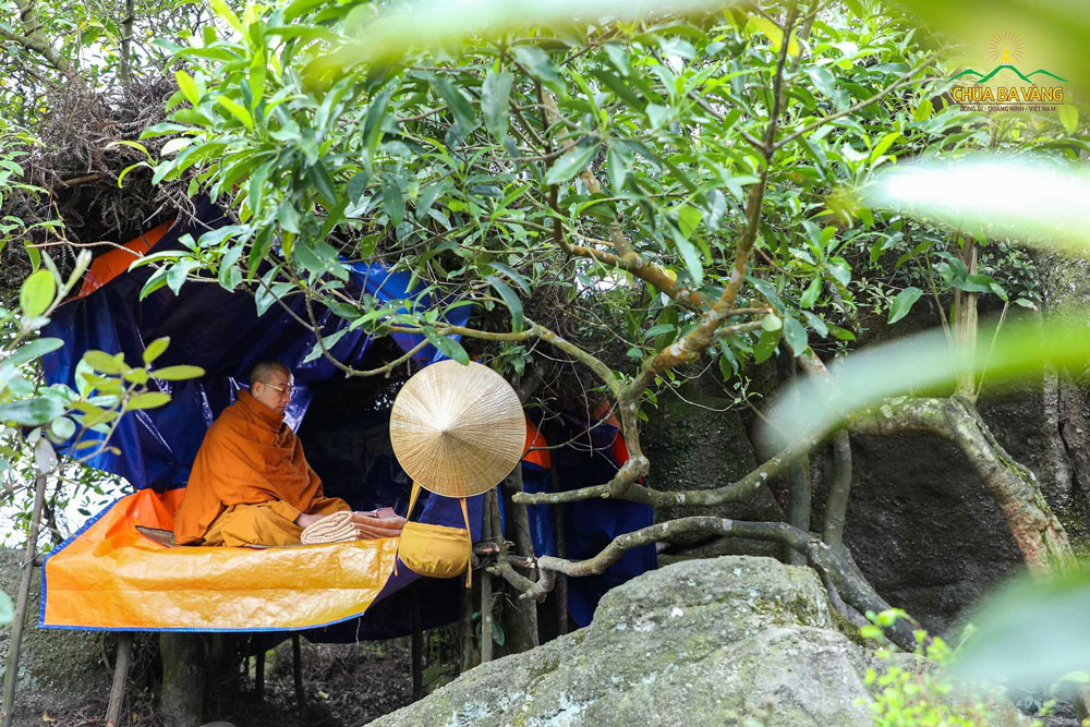 Sư Phụ Thích Trúc Thái Minh thực tập hạnh sống ở trong rừng